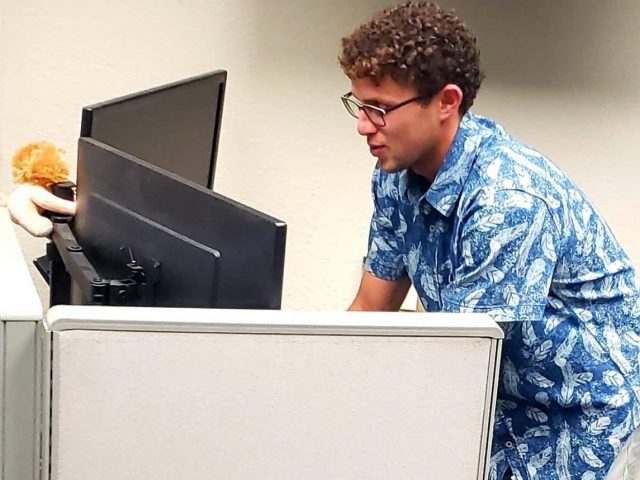 Rory-Working Rory-Working