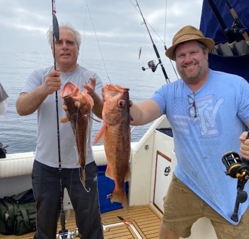 Glen-Gil Fish Glen-Gil Fish