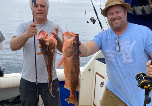 Glen-Gil Fish Glen-Gil Fish